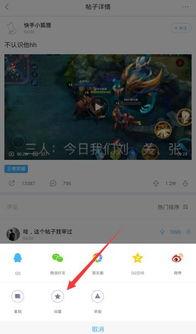 最右视频.,热门话题背后的真相与笑料